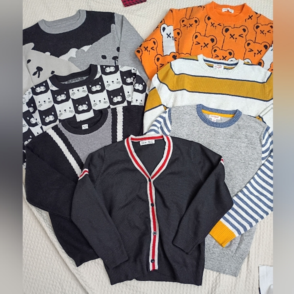 Boys Lot Sweaters